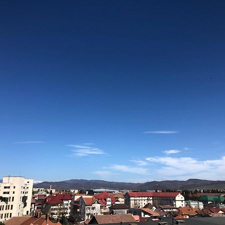 Tif Studio Râmnicu Vâlcea 외부 사진